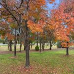 30 Scratchley Place, Monash, ACT 2904