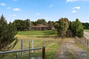 194 Dog Trap Road, Marchmont, NSW 2582