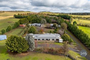 194 Dog Trap Road, Marchmont, NSW 2582